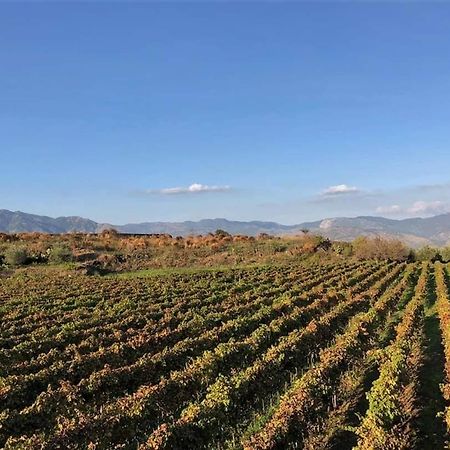 Animosa Suites Castiglione De Sicilia Eksteriør bilde