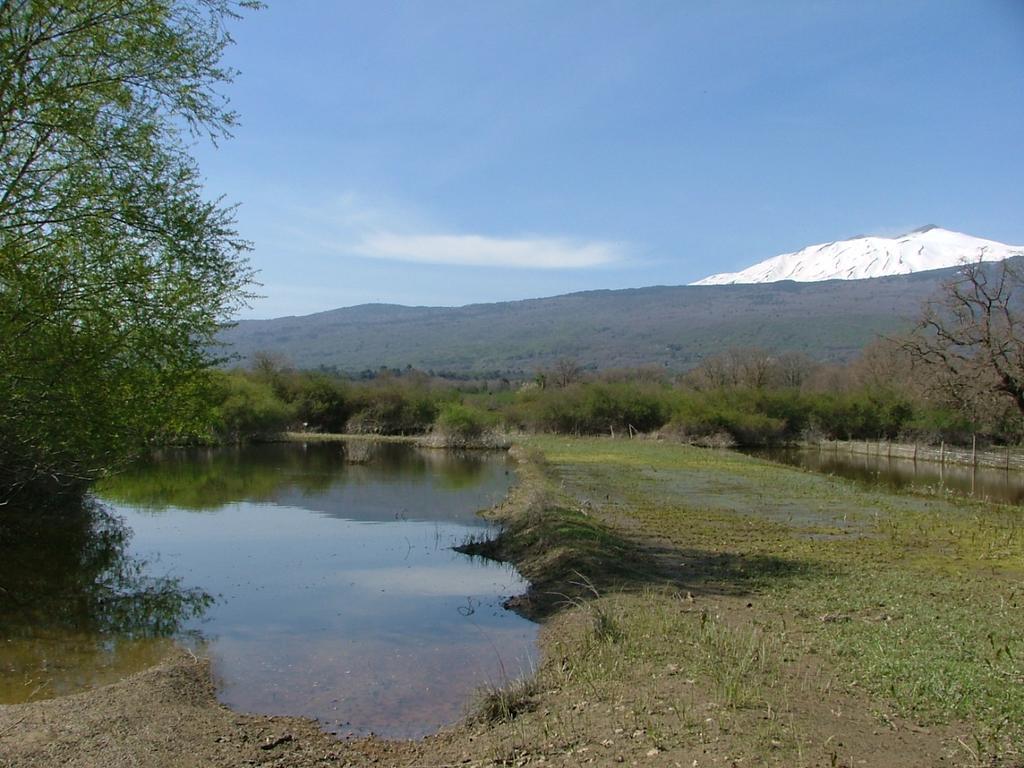 Animosa Suites Castiglione De Sicilia Eksteriør bilde