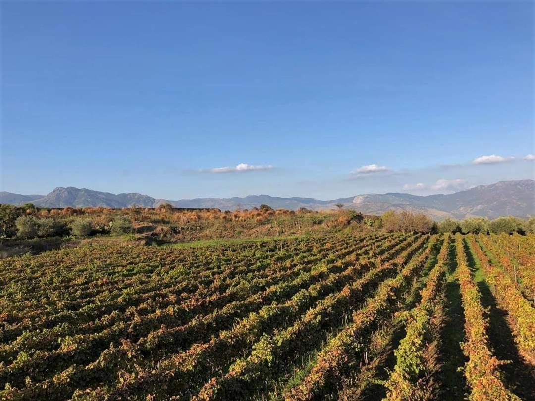 Animosa Suites Castiglione De Sicilia Eksteriør bilde